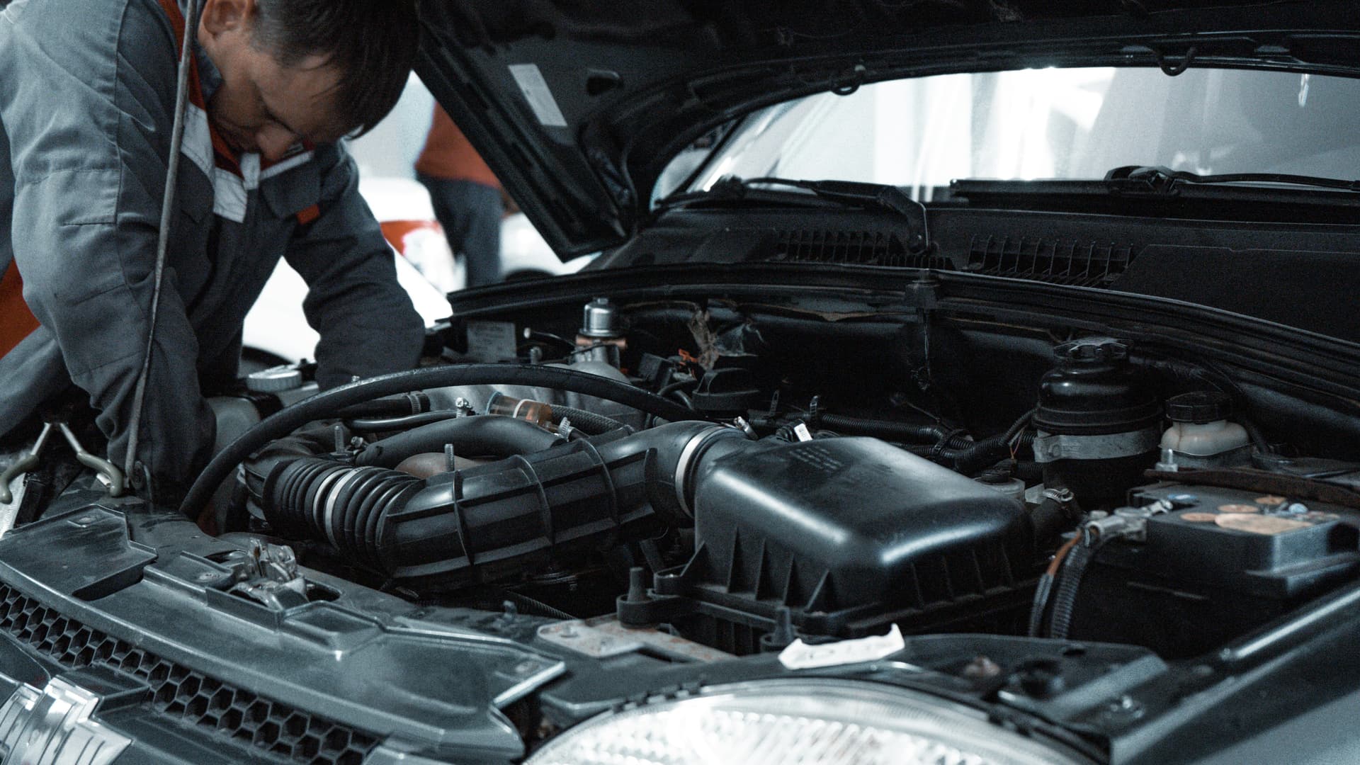 Professional vehicle inspection